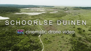 De Schoorlse Duinen  4K Cinematic Drone Video [upl. by Latrina]