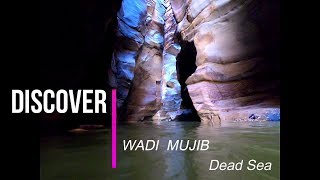 A mustsee in Jordan  discover Wadi Mujib Siq Trail with familyinjordan [upl. by Macnamara]