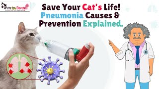 Pneumonia in Cats Causes Symptoms amp Life Saving Tips [upl. by Acinhoj]