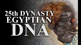 NEW Ancient Egypt 25th Dynasty DNA [upl. by Castle800]