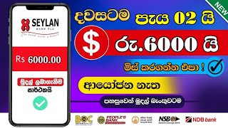 සල්ලි බැංකුවටම  e money sinhala  online jobs at home  online business  e money  part time jobs [upl. by Ynaiffit]