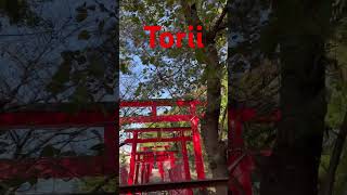 Japanese torii gate japanlife [upl. by Courtney]