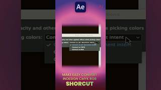 Effortless Color Conversion InDesign Quick Shortcuts for RGB and CMYK shorts [upl. by Cristobal354]