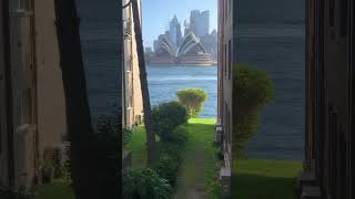 Brush turkey with Sydney Opera House view  Kirribilli Sydney Australia [upl. by Amarillis]