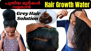 Best hair growth water for faster hair growth❤Best grey hair solution at home❤Get black hair [upl. by Nnednarb657]