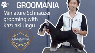 Miniature Schnauzer Grooming with Kazuaki Jingu  Groomania 2021 Grooming Demonstration [upl. by Trauts]