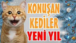 YENİ YIL ÖZEL KONUŞAN KEDİLER  EN KOMİK KEDİ VİDEOLARI [upl. by Einahpehs245]