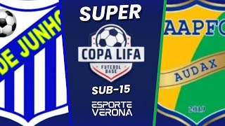 11 DE JUNHO X AUDAX  SUPER COPA LIFA PIAUI  decisão [upl. by Ellennej]