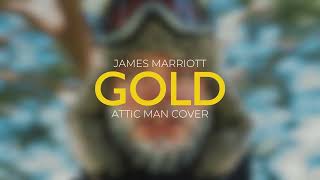 James Marriott  Gold Attic Man Cover [upl. by Sheridan751]