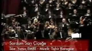 Sordum Sarı Çiçeğe  Orkestra Versiyon [upl. by Granoff]