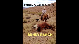 Roping wild cattle on the Bundy Ranch fullvideo day1 [upl. by Hsivat]