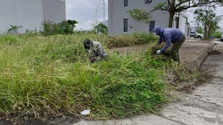 Find the surprise after clearing the overgrown sidewalk and transforming it beautifully [upl. by Allayne437]