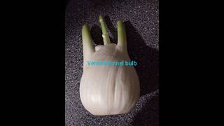 Venkel or fennel thoran thoranrecipe tastyrecipes shorts new belgium venkel villagecooking [upl. by Azeria]