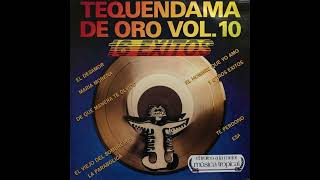 EL TEQUENDAMA DE ORO VOL 10  Varios [upl. by Ayadahs]