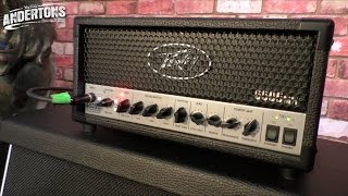 Peavey 6505 Mini Head  Devastating Tone said the Baboon [upl. by Akimyt]