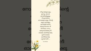 🤍Nee Uranguvolam Innum Lyrics 🤍🎶 Hridayasakhee lyricalstatus malayalamlyrical shortfeed trending [upl. by Yahsal]