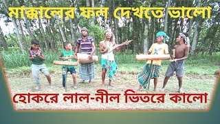 মাক্কালের ফল দেখতে ভালো ।। হোক রে লালনীল ভিতরে কালো ।। Makkaler fol dakhte valo পিটু ভাই [upl. by Osman]