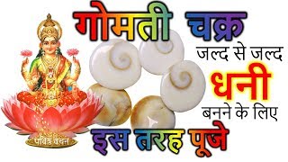 सिर्फ रु१० गोमती चक्र से बेहद चमत्कारी धन लाभ  How to Become RICH with GOMTI CHAKRA [upl. by Persian]