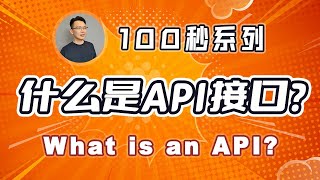 1 什么是API接口？100秒速览 应用程序编程接口 What is an API [upl. by Allets]