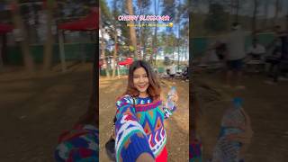 Cherry Blossom 🌸 ‘t Amar Utpaat 😂🤭 minivlog p1 youtubeshorts shortsfeed shorts vlog [upl. by Niwde510]