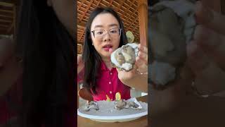 makan oyster mentah ges [upl. by Davena]