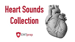 Heart Sounds Collection  EMTprepcom [upl. by Rexford930]