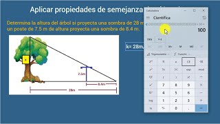 Problemas de semejanza de triángulos  Secundaria  Matemáticas 3 [upl. by Gabrielson]