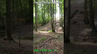 discgolf discgolflife dynamicdiscs lucidxverdict disclife dangdiscgolf birdie [upl. by Ahsekyw]