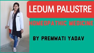 Homeopathy medicine Ledum PALUSTRE in Hindi by Premwati Yadav [upl. by Nalaf]