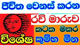 රවි මාරුව October  Lagna palapala  Cancer Capricorn  Aquarius  Pisces  Astrology reading [upl. by Nogras68]