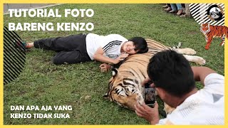 TUTORIAL FOTO BARENG KENZO THE TIGER [upl. by Esiuqcaj]