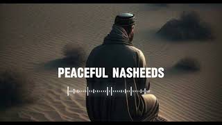 5 Soul healing Nasheeds 🤍 Arabic Nasheed  Muhammad Al Muqit nasheed [upl. by Annayr184]