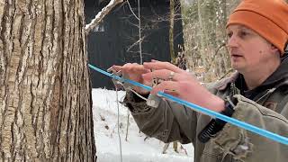 DIY Maple Syrup  Running Lines to Collect Maple Sap  Vermont Evaporator Company [upl. by Oleta67]