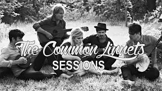 The Common Linnets  Sessions [upl. by Bellina]