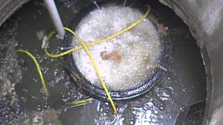 DIY Septic Aerator [upl. by Eiknarf790]