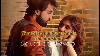 Tera Mera Hai Pyar Amar Slowed  Reverb  Ahmed Jahanzeb  Love Lofi Songs [upl. by Leon]