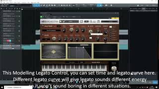 Cadenza Strings DemoFeature Walkthrough Video [upl. by Nibur]