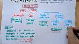 Thalassemia  Alpha amp Beta thalassemia  Patho  Define Type Pathogenesis Diagnosis  part 1 [upl. by Godric]