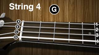 How to tune a Ukulele  Ukulele tuning video  gCEA [upl. by Khajeh696]