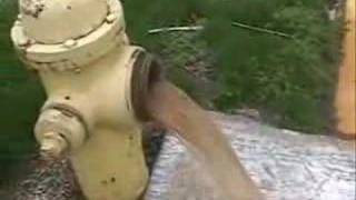 Flushing a hydrant [upl. by Axela]