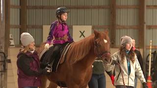 Hippotherapy Using Equine Movement in Clinical Practice Full Video [upl. by Quintilla]