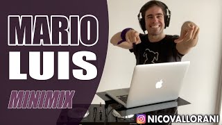 Mario Luis Minimix Nico Vallorani DJ [upl. by Ahsil]