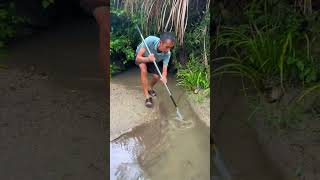 My fishing skills are OK right 我的抓鱼手法可以吧 Xiaomei fishingfun fishinglife fishfood fishtrip [upl. by Gupta]