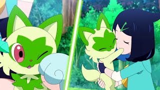 Likos Sprigatito A Tale Of Friendship amp Adventure AMV Pokémon Horizons Episode 40 AMV [upl. by Akinad123]