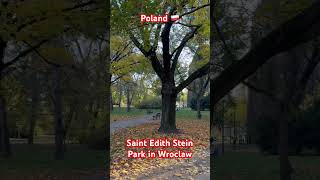 poland beautiful wroclaw park [upl. by Todd561]