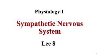 Sympathetic Lec8 Physiology I [upl. by Medina]