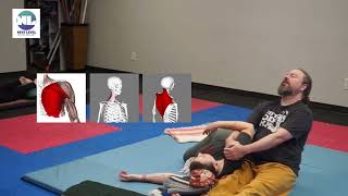 Upper Back and Neck Work  Helping Massage Therapists [upl. by Komsa]