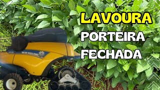 Fazenda Porteira Fechada Lavoura [upl. by Tormoria824]