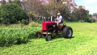 Farmall Cub with Mott Flail Mower [upl. by Inohtna433]