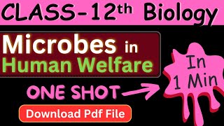 Microbes In Human Welfare One Shot 🔥 Class 12 Biology Ch 10 Notes Boards Cuet ug Neet 2024 Exam [upl. by Decamp404]